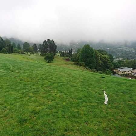 Duncountry Victoria Country Club Bed and Breakfast Pietermaritzburg Exteriör bild